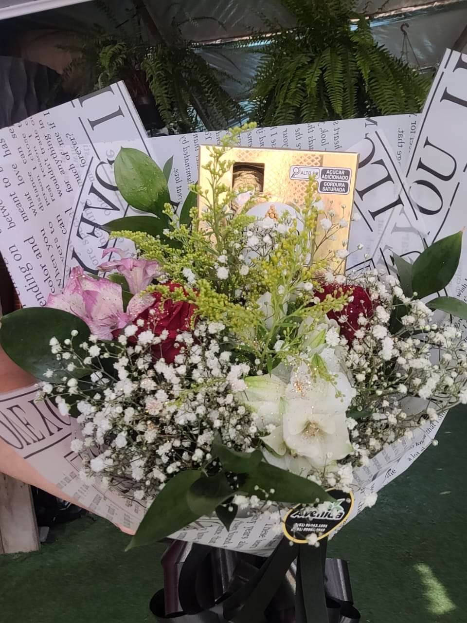 Composição de mini jardim com diversas suculentas em vasinho de concreto